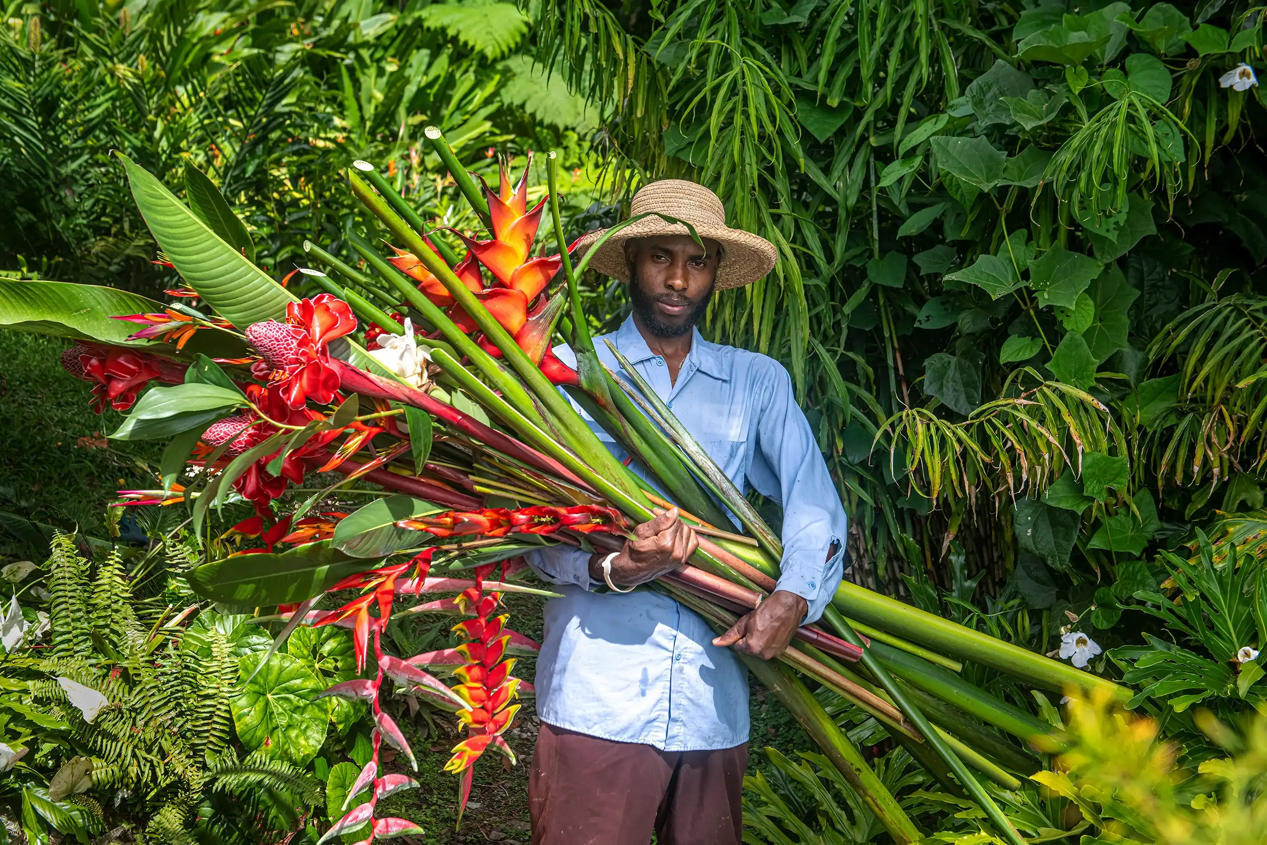 Caribbean gardener with tropical flowers.