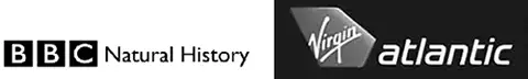 logos1-BBC-virgin-atlantic-derek-galon-credentials logos1-BBC-virgin-atlantic-derek-galon-credentials