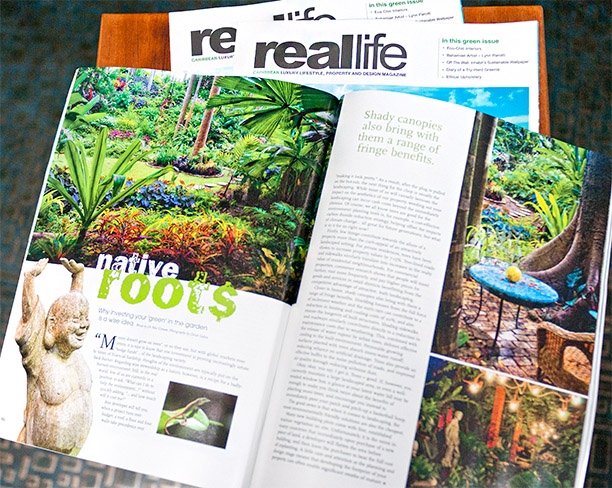 c51-realife-photos